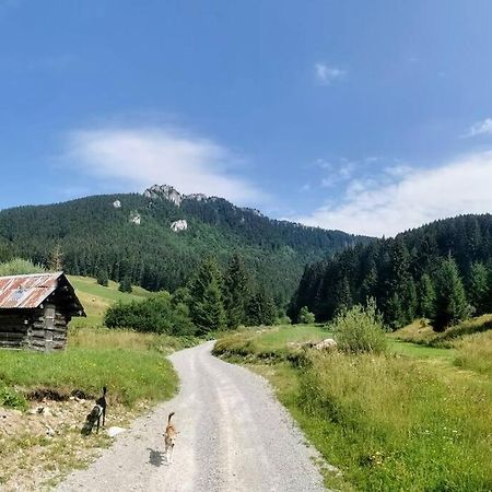Drevenica Harmony Villa Rózsahegy Kültér fotó